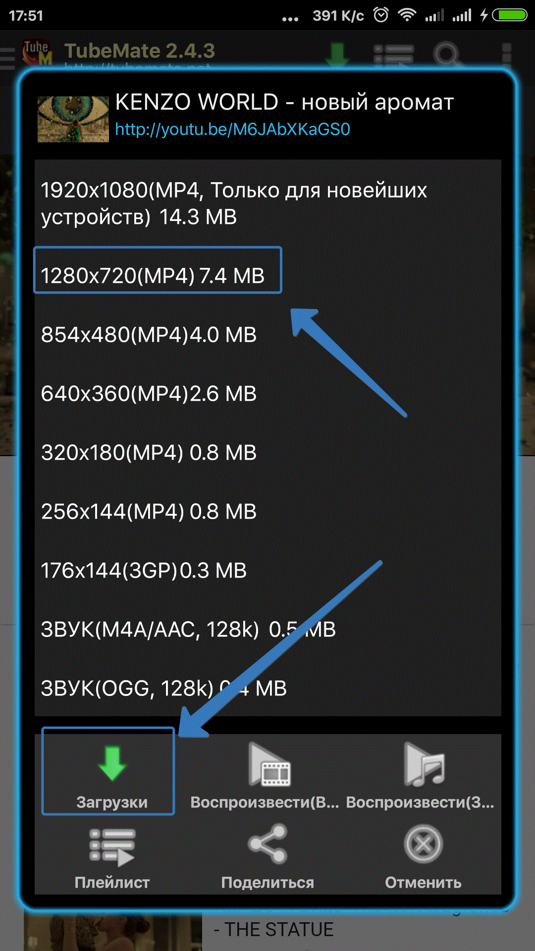 Выбираем разрешение в TubeMate